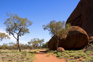 Uluru 5.jpg